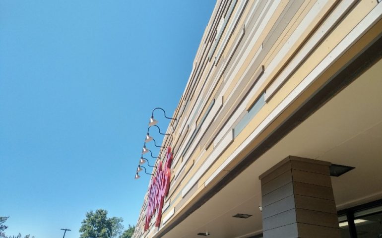 Gallery image 3 for Raley’s Supermarket, Carmichael, CA